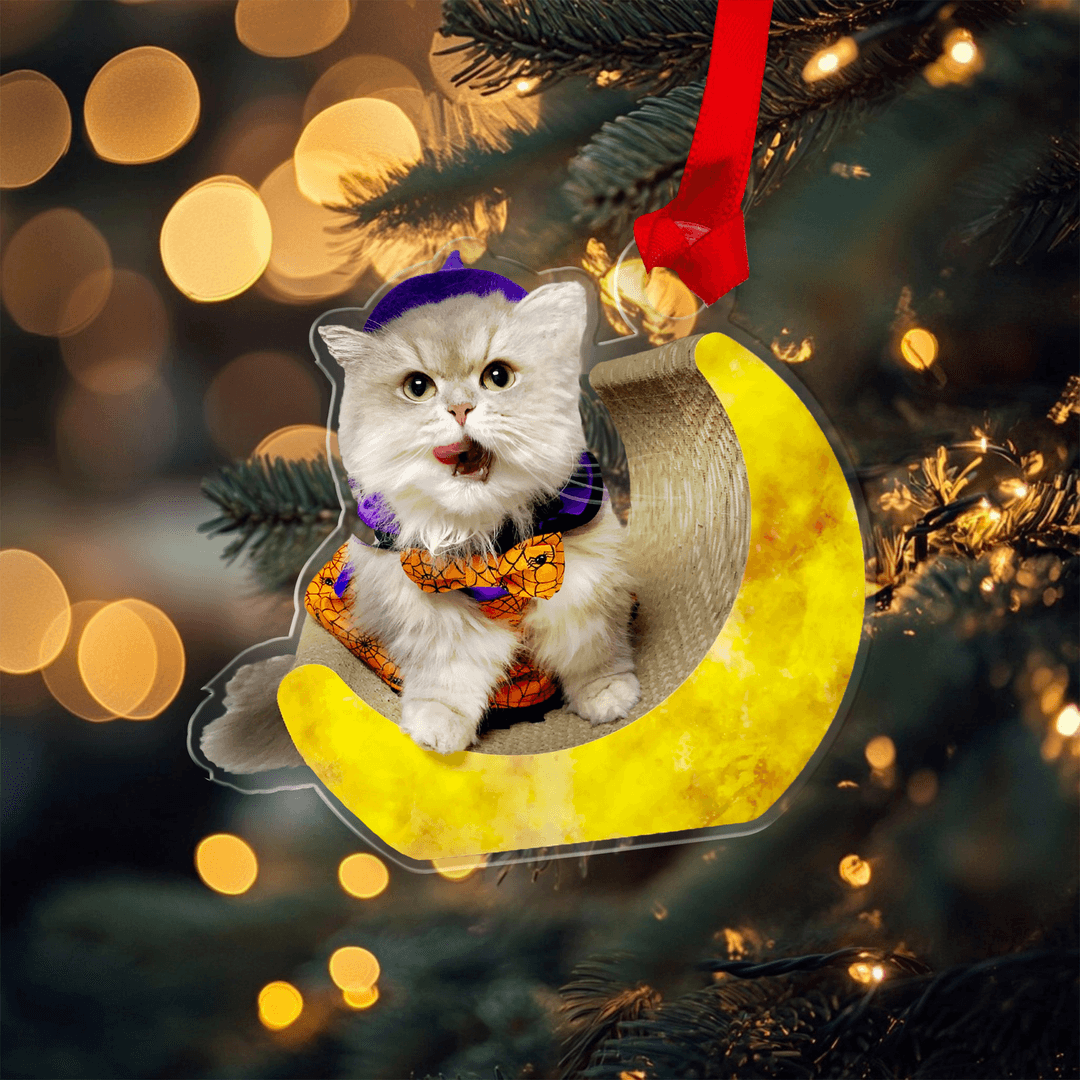 Custom Acrylic Ornament