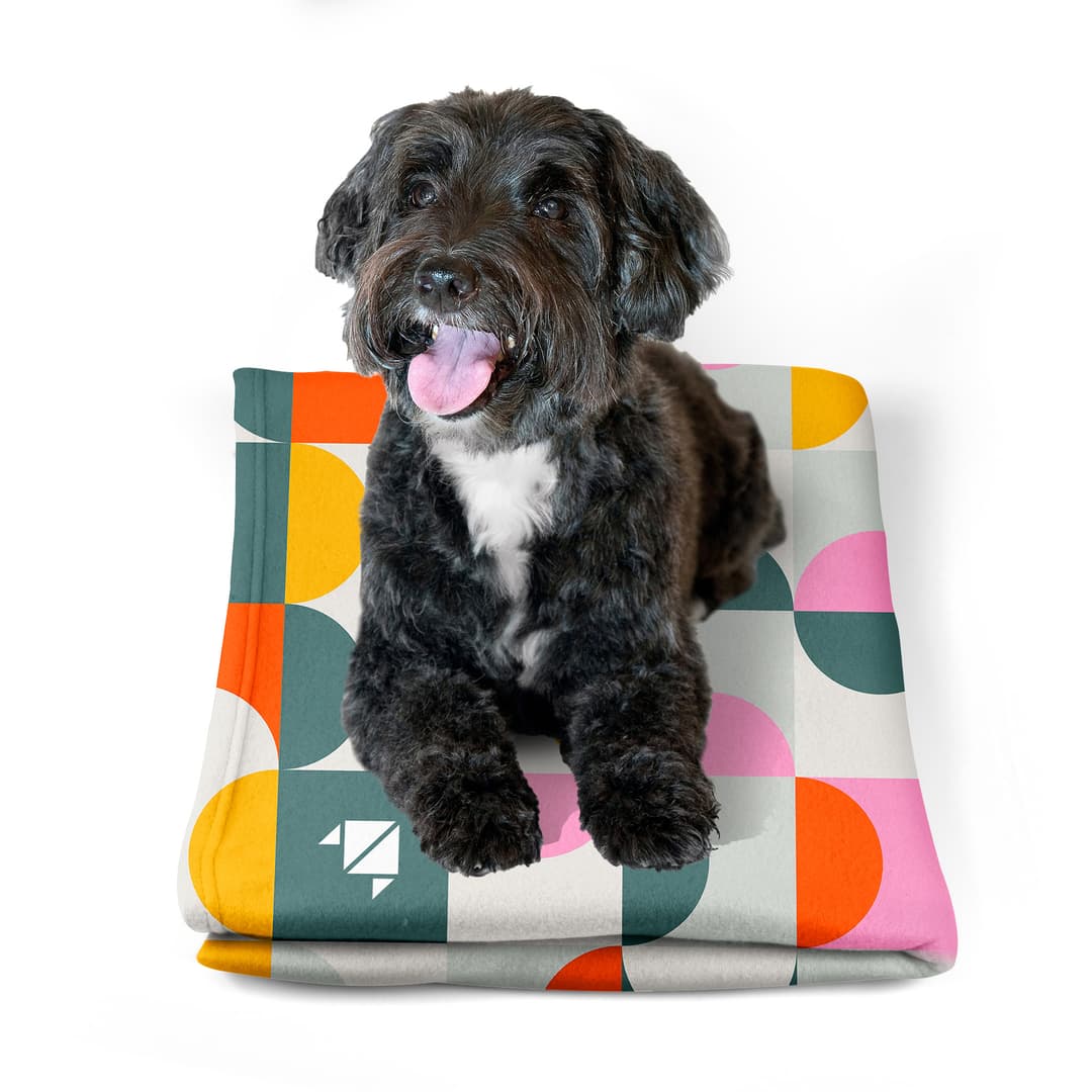 Pet Blanket