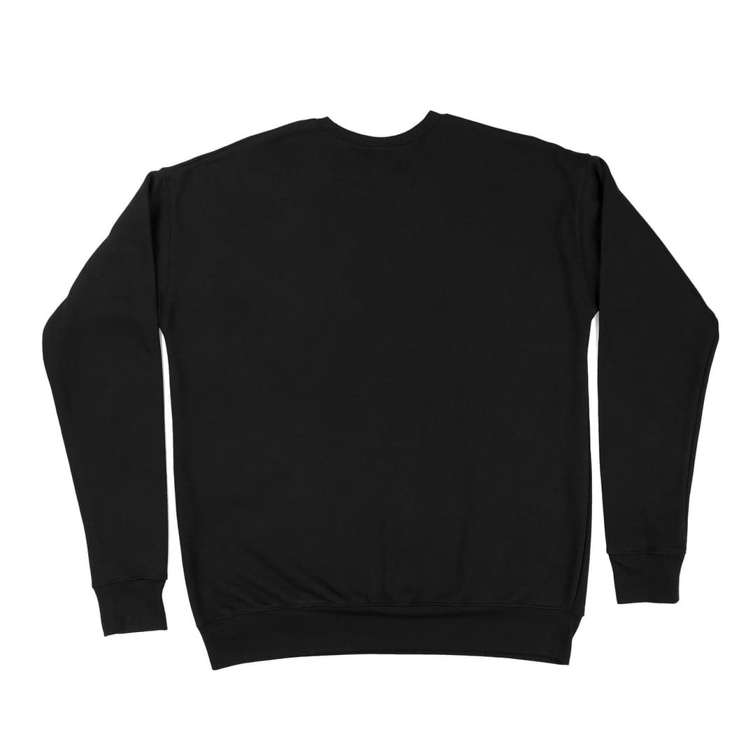 Unisex Premium Crew Neck Sweatshirt (DTFx)